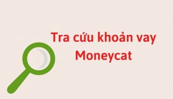 tra cứu khoản vay MoneyCat
