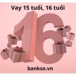 app vay tiền 15 tuổi, 16 tuổi