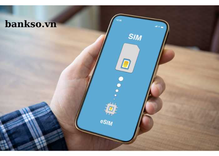 app vay tiền không ủy quyền sim