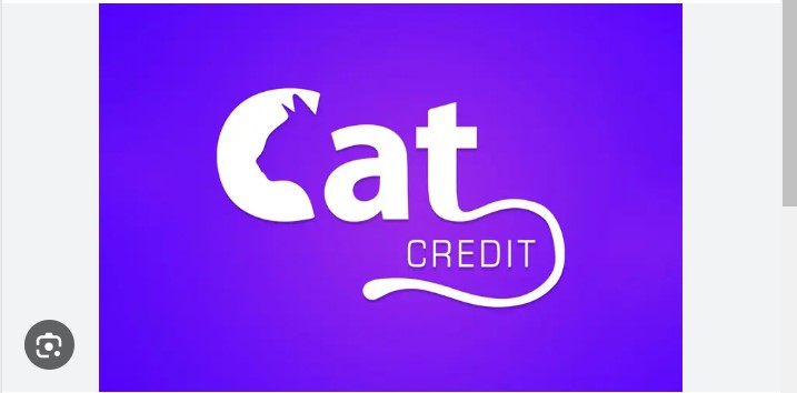 cat credit