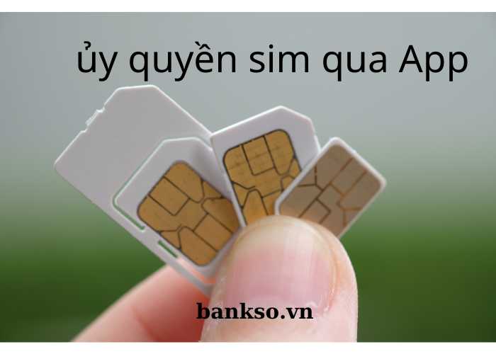 ủy quyên sim qua App có sao không