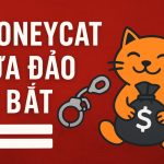 moneycat lừa đảo