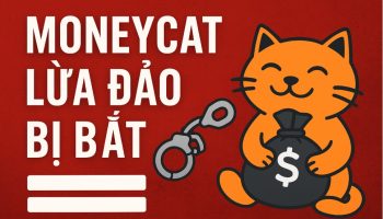 moneycat lừa đảo
