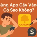 Bùng App Cây Vàng có sao không?