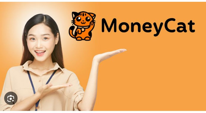 bùng tiền moneycat
