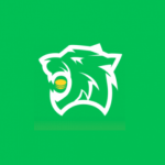 Tiger Credit