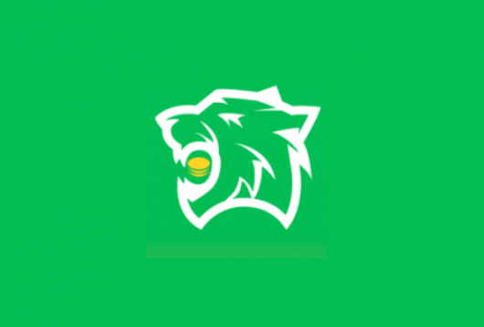 Tiger Credit